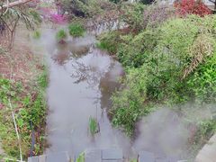 -武汉紫薇都市田园