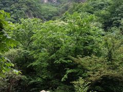 -浙北大峡谷