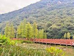 -广州市石门国家森林公园