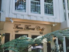-Fern Forest Cafe