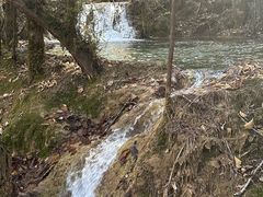 -黄龙山原始森林景区