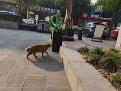 -鲜得来排骨年糕(即墨路店)