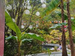 -剑河仰阿莎温泉小镇