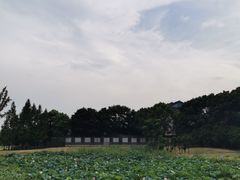 -苏州阳澄半岛英迪格酒店
