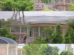 -新加坡飞禽公园