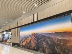 -青岛胶东国际机场