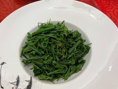 炝炒丝瓜尖-玉华台饭庄·淮扬菜·烤鸭(望京店)