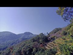 -呷哺呷哺 黄金牧场 (枣强吉美购物广场店)