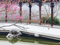 -秋霞圃