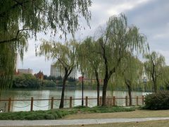 -黄兴公园