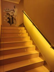 -莎蔓莉莎美容会所