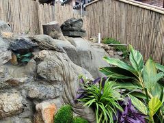 -伴山茶苑·围炉煮茶