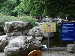 -神仙树公园