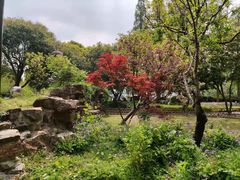 -无锡蠡湖国家湿地公园-蠡园