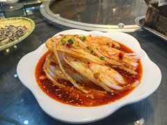 -阆辣荟餐饮(老味道8年·古城店)