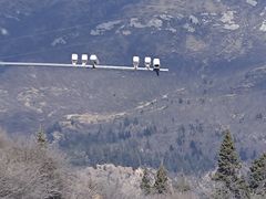 -乡土特色.冷锅鱼.牦牛肉汤锅