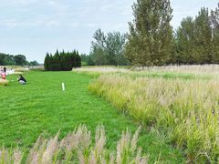 -汉长安城未央宫国家考古遗址公园