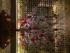 iphone_upload_pic-北京康莱德酒店