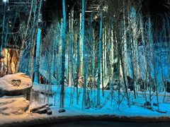 -沈阳“九·一八”历史博物馆