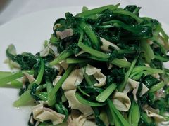 -新吉士·上海菜(浦东LCM置汇旭辉店)