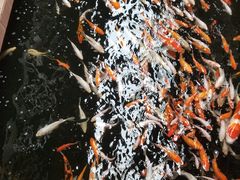 -侠成水上农庄(工业大道店)