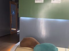 -浅水汤温泉(人民东路店)