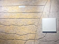 -平原博物院