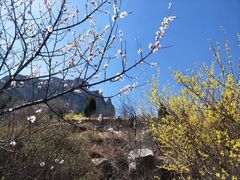 -山西壶关太行山大峡谷旅游景区