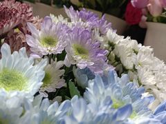 -循礼门鲜花花市(武汉循礼门店)