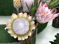 -南通洲际绿博园