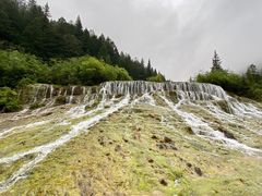 -黄龙山原始森林景区