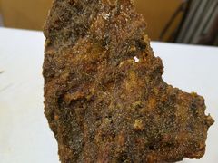 -胖子鸡排(循礼门老字号店)