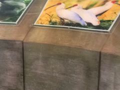 -下渚湖国家湿地公园科普馆