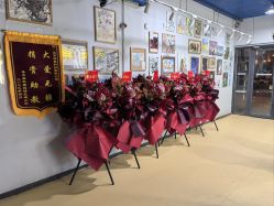 -爱丽丝奇幻乐园