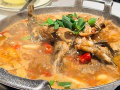 杂鱼煲-阿露佳·舌尖上的安吉菜