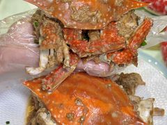 -渔娘渔家丹东海鲜(东直门店)