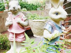 -谷咖啡·鲜花绿植花园餐厅