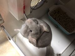 -龙猫仔乐园(惠福东路店)