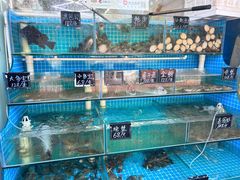 -北戴河庆山饭店·海鲜砂锅粥(北戴河黑石路店)