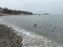 -星海湾跨海大桥