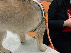 -佳雯宠物医院(金华南路分院)