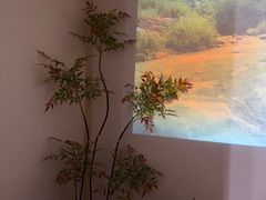-沐森 •疗愈头疗馆(打浦桥店)