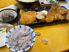 -胜博殿日式炸猪排(西红门店)