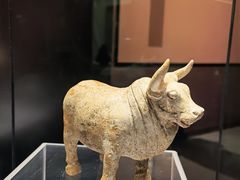-隋唐大运河文化博物馆