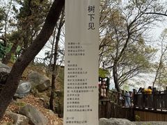 -沂蒙山旅游区云蒙景区(蒙山国家森林公园)