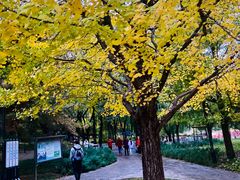 -元大都城垣遗址公园