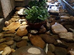 -小城粥道·海胆鲜虾粥(解放广场店)