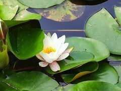 -西湖国宾馆·紫薇厅