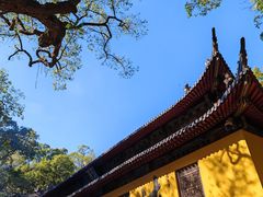 -普陀山风景名胜区-法雨禅寺