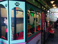 -猫咪博物馆(顶澳仔猫街店)